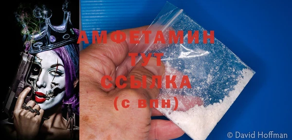 крисы Алзамай