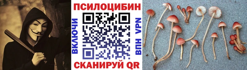 Псилоцибиновые грибы мицелий  mega маркетплейс  Звенигород 